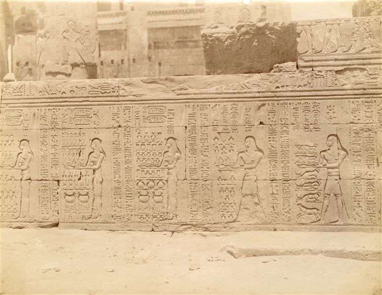 Nella fotografia è rappresentata una parte dei testi e delle scene sacre della parete esterna dell'atrio colonnato (ipostilo) del Tempio di Sobek e Haroeri a Kom Ombo.  