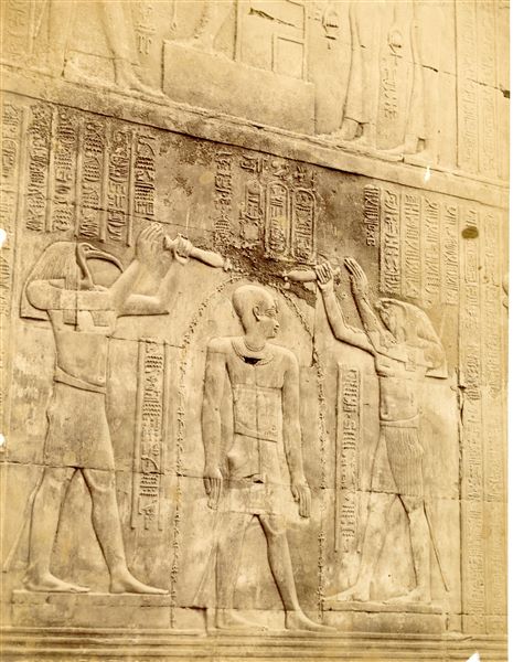 The image depicts a sacred scene from the interior walls of the Temple of Sobek and Haroeris at Kom Ombo. The gods Thoth and Horus purify Pharaoh Ptolemy XII. 