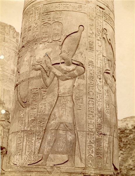 The image shows a detail of a decorated column inside the Temple of Sobek and Haroeris at Kom Ombo. In the scene, the pharaoh offers a bovine effigy to the gods. The photo can be attributed to Antonio Beato. 