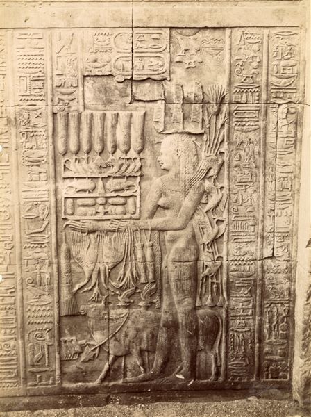 Il primo piano mostra una figura di regina raffigurata sotto le forme del dio Nilo scolpita sulle pareti interne del tempio di Sobek e Haroeris a Kom Ombo. 