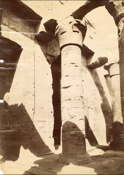 L'immagine mostra un primo piano di una colonna nella Sala Ipostila del tempio di Sobek e Haroeris a Kom Ombo. La firma dell'autore si trova, scritta con grafia speculare, in basso a destra.  