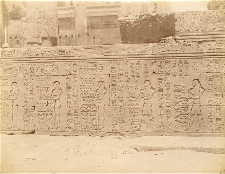 The photograph shows part of the texts and sacred scenes on the external wall of the hypostyle hall from the Temple of Sobek and Haroeris at Kom Ombo. 