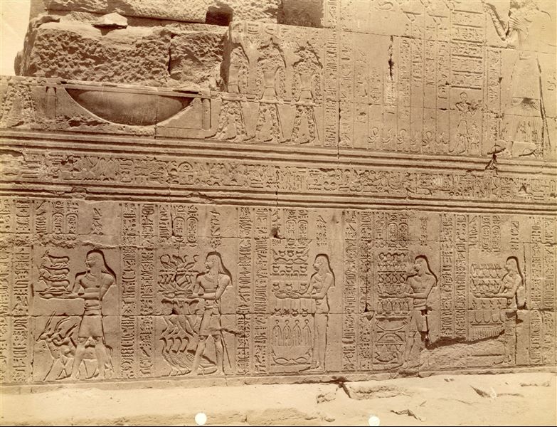 The photograph shows some texts and scenes from the outer walls of the Temple of Sobek and Haroeris at Kom Ombo. 