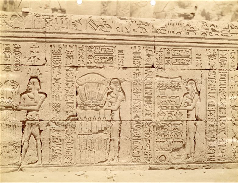 The photograph shows part of the texts and sacred scenes on the external wall of the hypostyle hall from the Temple of Sobek and Haroeris at Kom Ombo. 