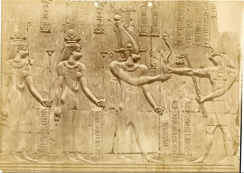 La fotografia mostra un primo piano della celebre scena con Tolomeo VIII, Cleopatra II e Cleopatra III al cospetto del dio Haroeris, dalla parete del tempio di Sobek e Haroeris a Kom Ombo. 