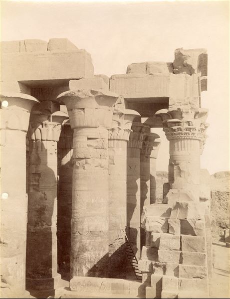 Veduta laterale dell'atrio ipostilo esterno, costruito da Tolemeo XII, del tempio di Sobek e Haroeris a Kom Ombo, fotografato da nord-ovest. La didascalia sul retro permette l'attribuzione dello scatto.  