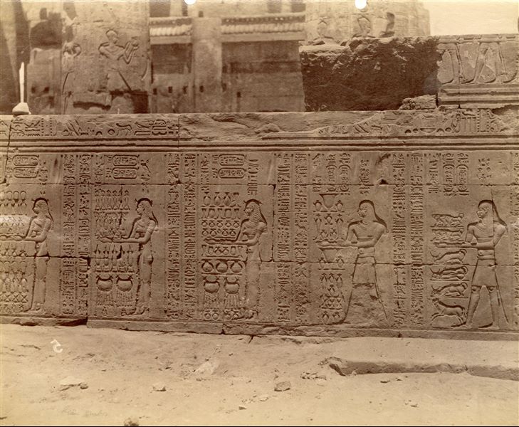 La fotografia rappresenta la decorazione della parete esterna dell'atrio colonnato (ipostilo) del tempio di Sobek e Haroeris a Kom Ombo, in cui si vede una scena di processione di offerenti.  