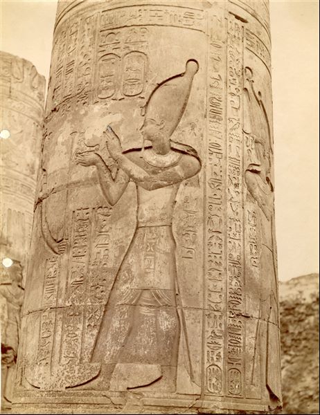 The image shows a detail of a decorated column inside the Temple of Sobek and Haroeris at Kom Ombo. In the scene, the pharaoh offers a bovine effigy to the gods. The photo can be attributed to Antonio Beato. 