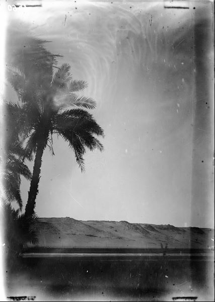 Landscape presumably from Aswan, photograph taken near the bank of the Nile. Schiaparelli excavations.