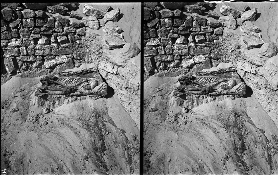 Discovery of a skeleton curled up inside a box, presumably during excavations in Qubbet el-Hawa. Schiaparelli excavations.