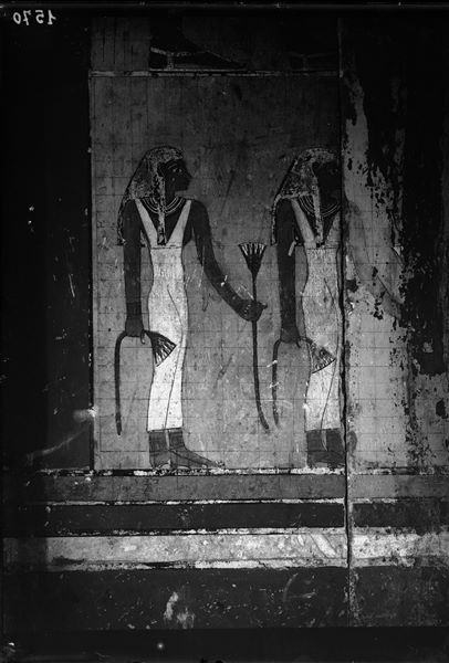 Veduta dell’interno della tomba di Sarenput II (QH31). In particolare, una pittura parietale, lato nord (destra) della seconda camera. Sono ben visibili i quadrati preparatori per il disegno. Scavi Schiaparelli.