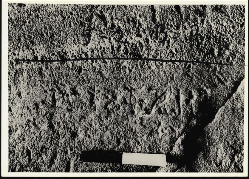 Detail of an inscription on the lower register of the left chapel wall, from the rock-cut rock-cut chapel of Ellesiya. 