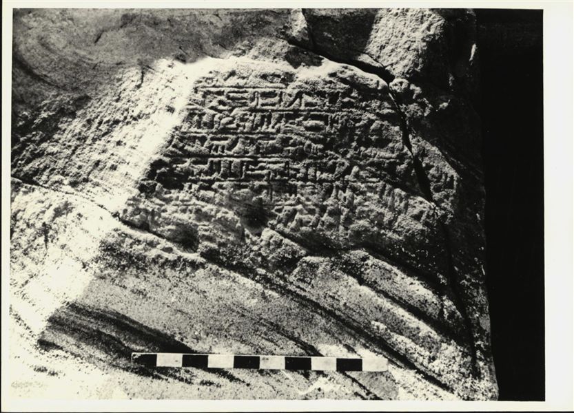 Endowment stela (appannaggio stele) of Tuthmosis III in the façade of the rock-cut rock-cut chapel of Ellesiya, to the left of the entrance. 
