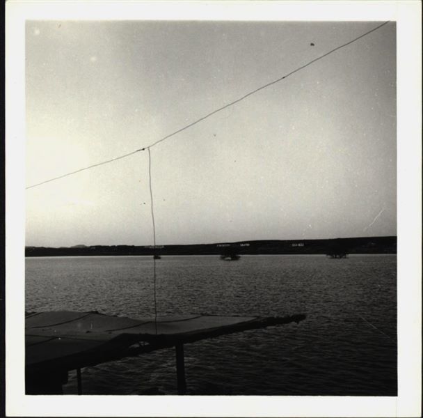 Photograph taken in the area of the site of Ellesiya, when Lake Nasser had already formed and was full. Three trees can be seen popping out of the lake, bound to be submerged. In the background, the Nubian landscape.
