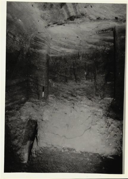 Photograph of the back niche in the rock-cut chapel of Ellesiya, where the statues of deities and the pharaoh are located; depicting Horus of Miam, the goddess Satet, and in the centre, the ruler Tuthmosis III. The photograph was taken in the rock-cut chapel’s original location in Nubia, shortly before the Nile waters would begin to rise due to the construction of the Aswan Dam, which would flood the area. Photograph taken in the mid-1960s, shortly before the rock-cut chapel was moved. Note the original floor, which was not saved.

