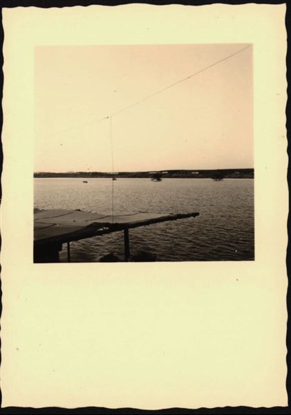 Photograph taken in the area of the site of Ellesiya, when Lake Nasser had already formed and was full. Three trees can be seen popping out of the lake, bound to be submerged. In the background, the Nubian landscape.