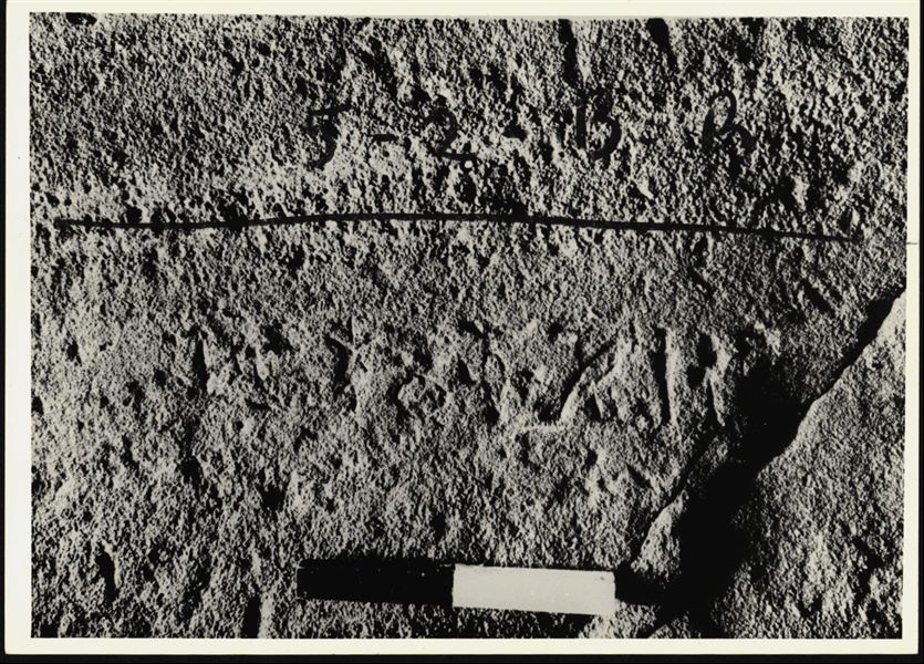 Detail of an inscription on the lower register of the left chapel wall, from the rock-cut Temple of Ellesiya. 