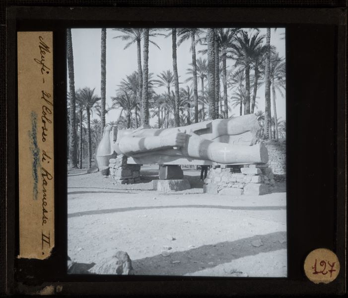 Il colosso del faraone Ramesse II a Menfi.