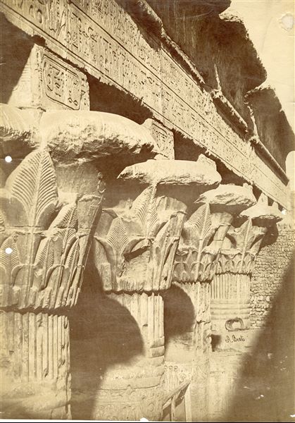 L’immagine mostra alcune colonne, con capitello papiriforme, dell'atrio ipostilo del Tempio di Khnum a Esna. La firma dell’autore è posta in basso a destra.