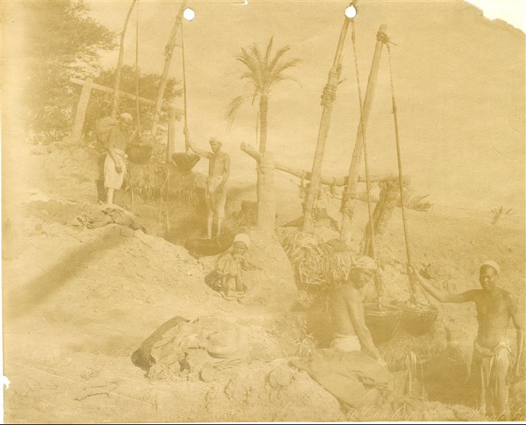 The shot shows some workers and a child engaged in irrigation work near a shaduf, to bring water to the ground level above. The author's signature is visible at the bottom left.  