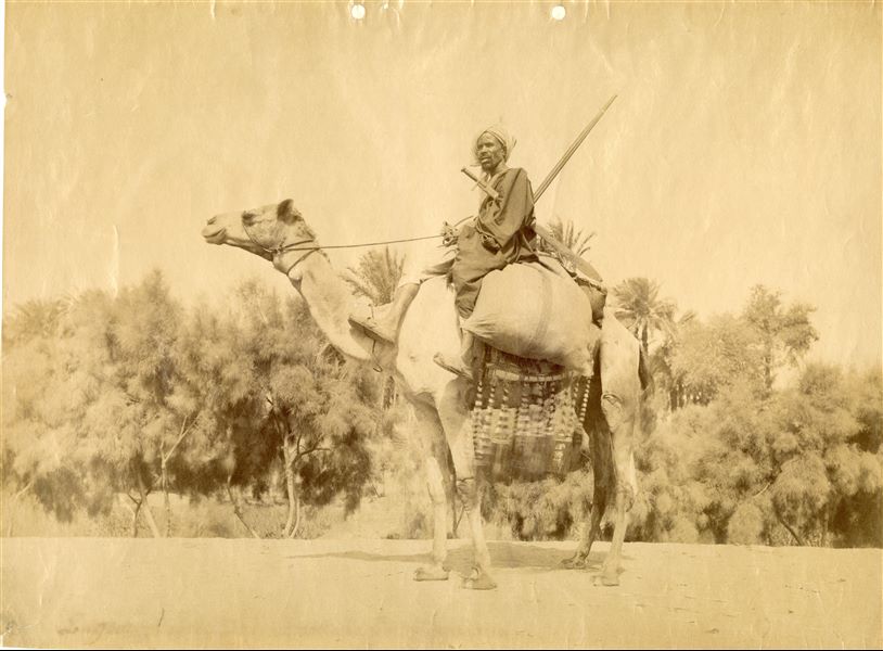 The photograph depicts an armed attendant of the Egyptian postal service riding a camel near Karnak (from the caption on the back of the photograph). 
