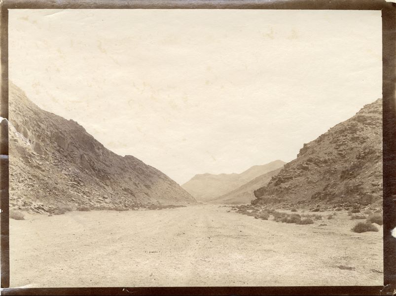 La fotografia mostra un letto di un grande wadi nel panorama roccioso del deserto presumibilmente alto-egiziano. 