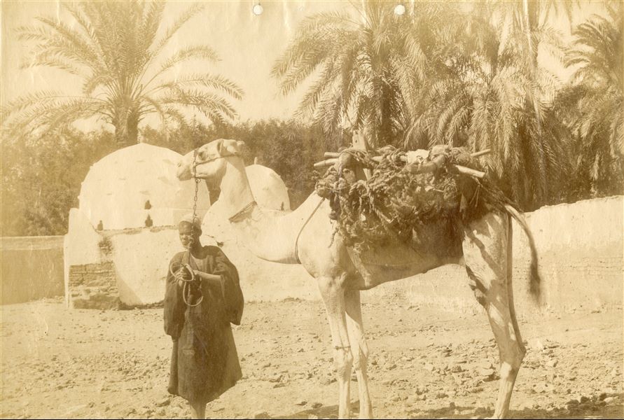 The photograph shows a young man holding a camel loaded with goods by its reigns. The author's signature (faded) is at the bottom left. 