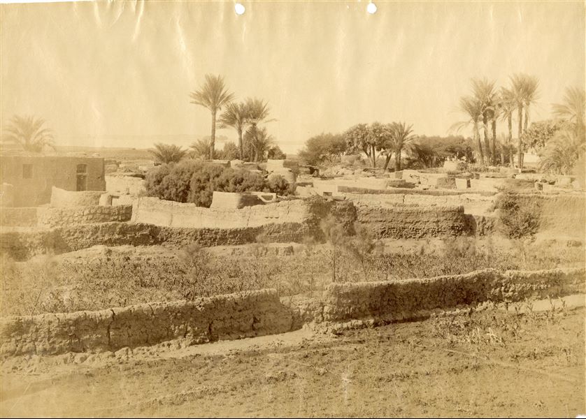 The photograph depicts a typical Egyptian agricultural landscape, with a brick dwelling on the left and a series of walls and granaries defining the various plots of land. In the distance, there are palm groves and acacia trees. In the background, the Nile. 