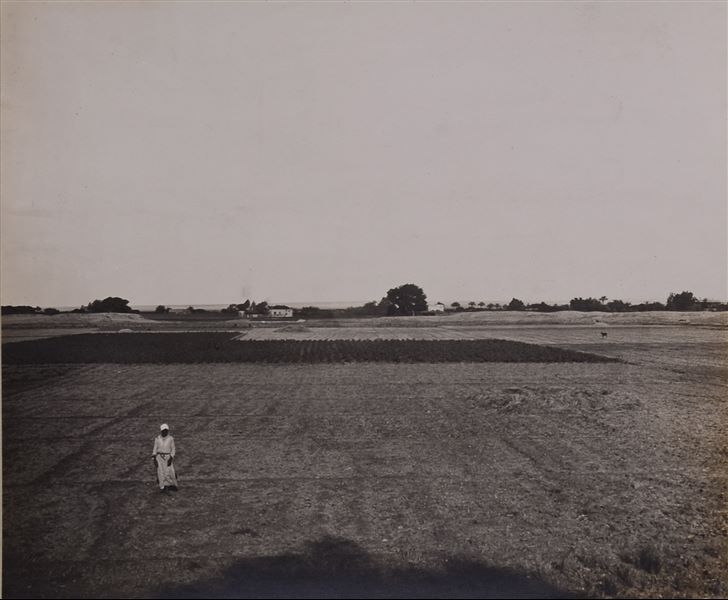 Rural landscape near the archaeological site of Heliopolis, excavated by the Italian Archaeological Mission. Schiaparelli excavations.