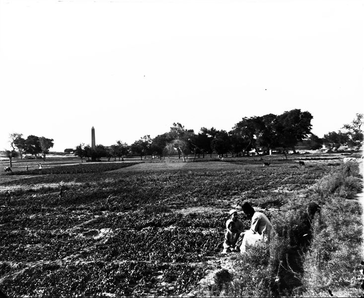 Central-eastern area of the sacred enclosure, the south side of the obelisk of Sesostris I can be seen from a distance. A saqiyah is visible, from the south-east. In the back, the houses of the Kom, also visible. Schiaparelli excavations. 