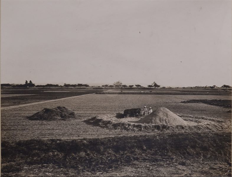 Rural landscape near the archaeological site of Heliopolis, excavated by the Italian Archaeological Mission. Schiaparelli excavations.