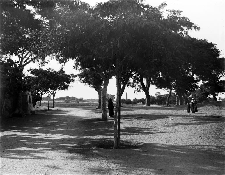 South-east area of the sacred enclosure; at the intersection of a few roads: one that leads to the obelisk of Sesostris I, one that heads to Matariah and one that flanks the southern limit of the temple precinct. In the background, the south side of the obelisk (from the south-east) can be seen. Schiaparelli excavations.
