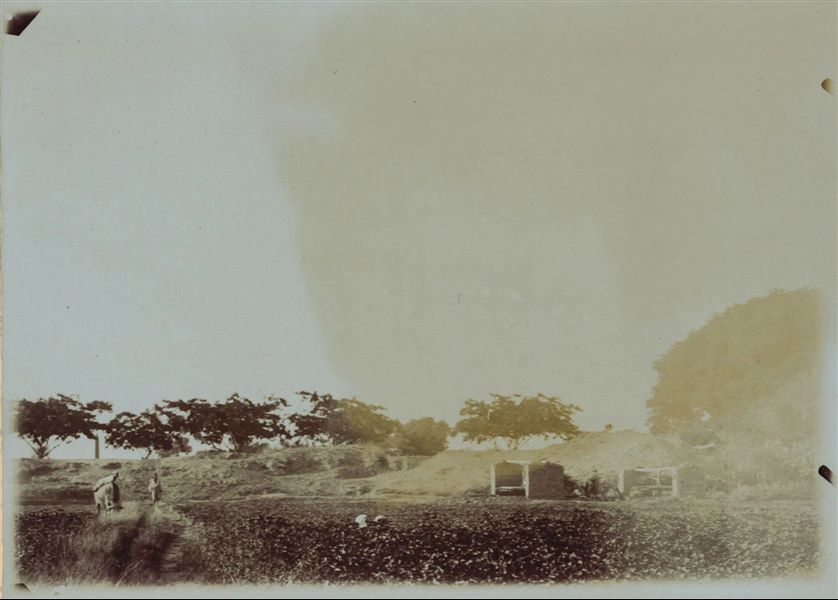 Photograph taken in the area of the temenos, where a saqiyah can be seen in the foreground, while on the left, the obelisk of Sesostris I is visible, hidden among the trees. Schiaparelli excavations.
