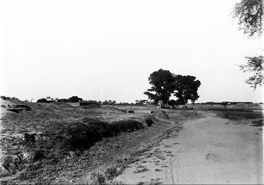 Angolo sud-est del kom, sullo sfondo una sakia vista da est, all’incrocio con la strada che porta verso Arab el-Tawil; edificio storico non identificato. Scavi Schiaparelli.