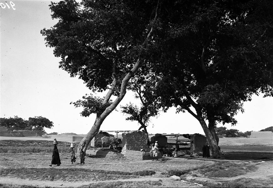 A saqiyah from the west, in the background, kom houses  . A saqiyah is a mechanical device that allows for water to be collected from a well. Schiaparelli excavations. 