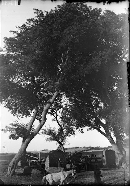 A saqiyah from the south-west, in the background, kom houses. Schiaparelli excavations.