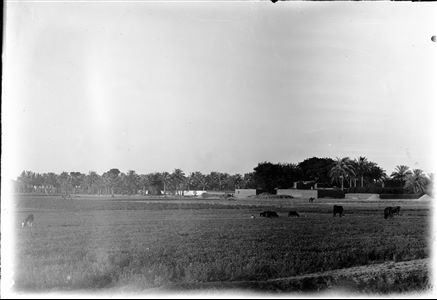 C01397