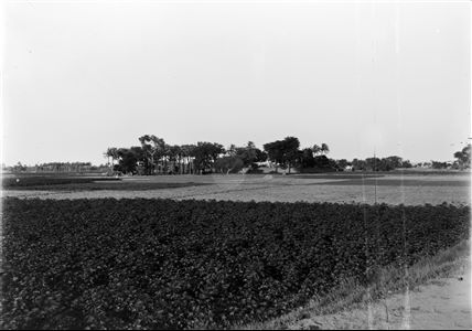 E00447