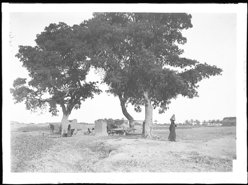 Landscape of the Heliopolis area. In the foreground, an unidentified saqiyah. Scavi Schiaparelli.