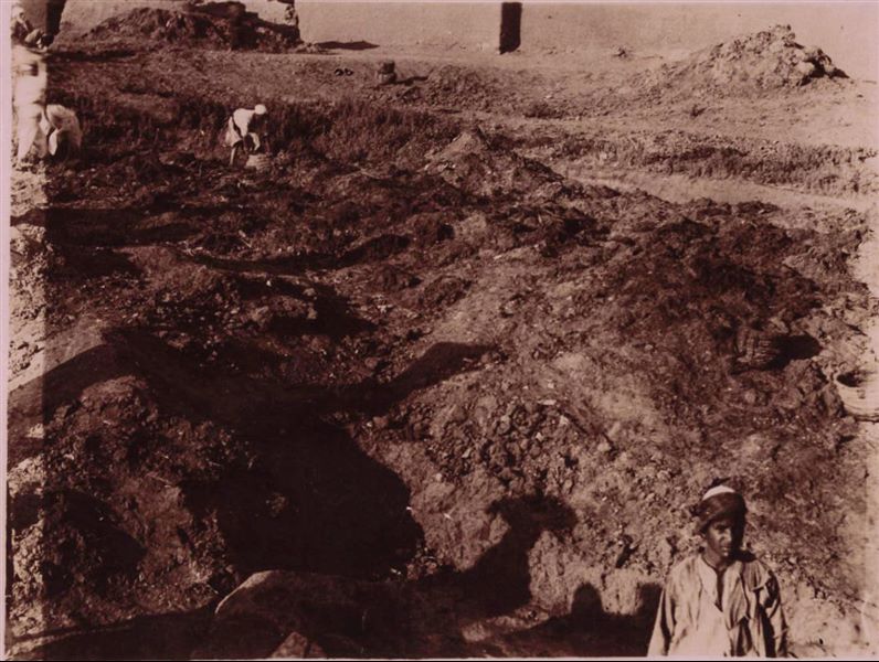 Temple of Mnevis, trench with fragments of the naos of Psamtik I. Note the muddy ground. This paper print has been toned with sepia.  Schiaparelli excavations.