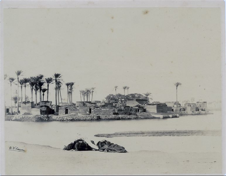 View of an area with housing and palm trees near a water basin, probably a secondary canal of the Nile which is visible in the foreground, in Cairo, the location is indicated by the caption on the back of the photograph. Due to overexposure, the image is very light. The author's signature can be seen at the lower left. 