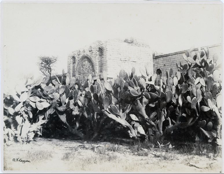 View of a building, possibly a mosque in Cairo, with a finely worked doorway behind some plants. The author's signature can be found at the bottom right.  