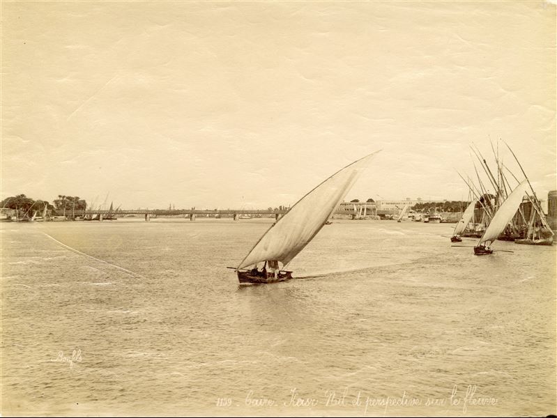 Veduta del Nilo e delle tipiche imbarcazioni a vela egiziane, le feluche, all’altezza del Cairo. Sullo sfondo è visibile un ponte, che unisce le due sponde. In basso a sinistra la firma dell’autore.