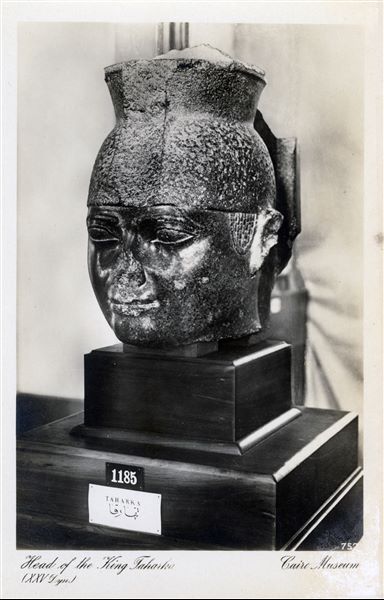 Gallery in the Egyptian Museum in Cairo. Head of Pharaoh Taharqa, second-last ruler of the 25th dynasty, known as the “Ethiopian” dynasty. Album “Cartes postales” (Postcards).