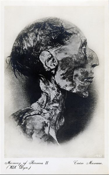 Gallery in the Egyptian Museum in Cairo. Head of the mummy of Pharaoh Ramesses II. Album “Cartes postales” (Postcards). 