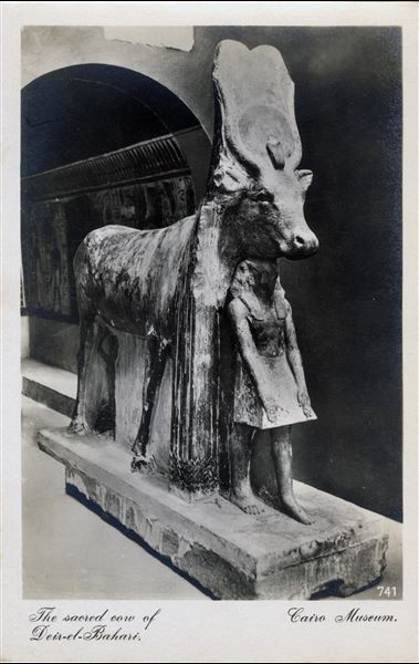 Gallery in the Egyptian Museum in Cairo. Statue of the sacred cow, representation of the goddess Hathor, from the Temple of Tuthmosis III at Deir el-Bahari. Album “Cartes postales” (Postcards).