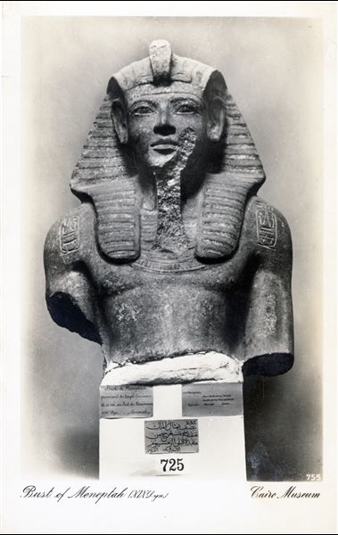Sala del Museo Egizio del Cairo. Busto del faraone Merneptah, trovato a Gurnah nel suo tempio funerario, a sud del Ramesseo. Album “Cartes postales”. 