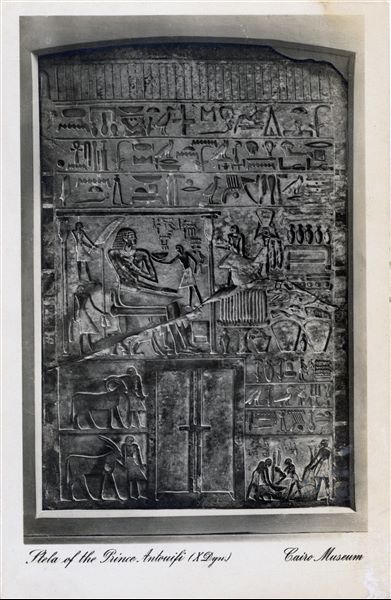 Sala del Museo Egizio del Cairo. Stele di Intef (Cairo CG 20009), governatore di Tebe, considerato il fondatore della XI dinastia. Album “Cartes postales”.