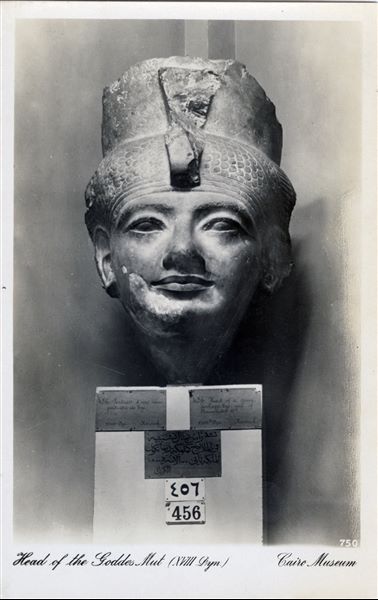 Gallery in the Egyptian Museum in Cairo. Head of a queen, possibly that of Tiy, wife of Amenhotep III, or of a deity, the goddess Mut. Statue fragment found at Karnak. Album “Cartes postales” (Postcards). 