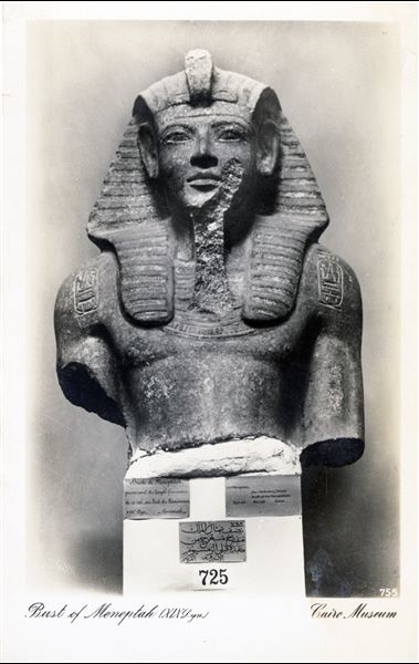Gallery in the Egyptian Museum in Cairo. Bust of Pharaoh Merenptah, found in his funerary temple at Qurna, south of the Ramesseum. Album “Cartes postales” (Postcards).